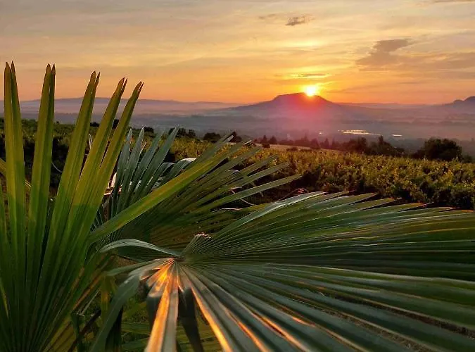 Ardo Elmenybirtok Balatonederics